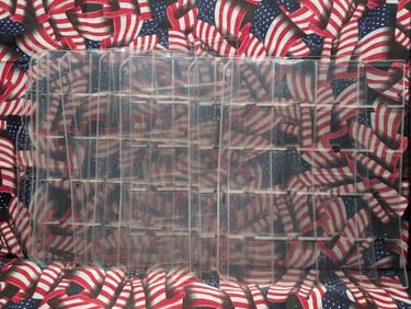 7 Empty Coin Binder Sheets