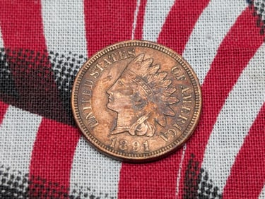 1891 Indian Head Cent. HIGH Grade, Great Color