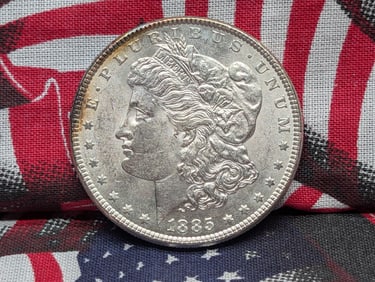 1885 Morgan Dollar