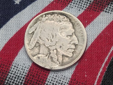 1913-D Type 1 Indian Head Buffalo Nickel *VG*.