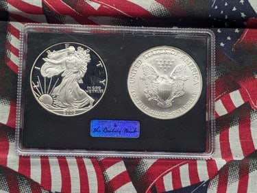 2005-W PROOF & 2005 UNC American Silver Eagles in Protective Display Case (2 Coins).