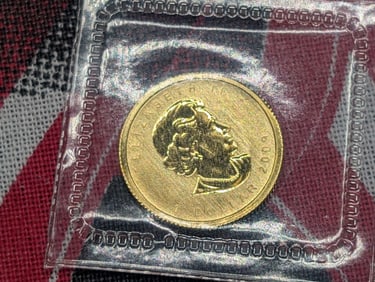 1/20th Oz. .9999 FINE GOLD 2009 $1 Miniature Maple Leaf Coin in Government Sealed Plastic.