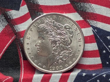 1900 Morgan Silver Dollar *GEM BU*.