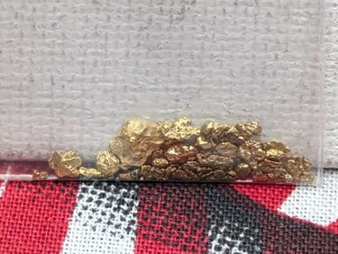 Bag of 0.69 Grams of SOLID GOLD Nuggets!!