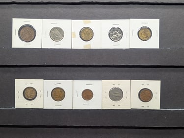 10 Random Foreign Coins (bundle).
