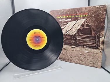 1970s Joe Walsh Barnstorm Reissue Vinyl Album - DS 50130