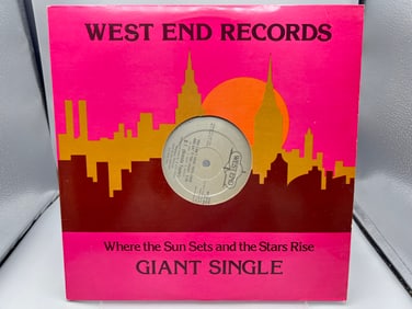 1982 B.T. (Brenda Taylor) You Can't Have Your Cake And Eat It Too 12' Single Vinyl Record - WES