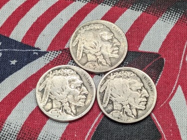 1916-D, 1917-S & 1923-S Indian Head Buffalo Nickel (3PCS)