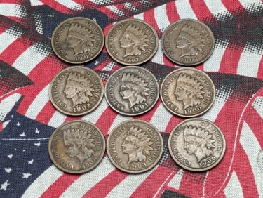(9) Mixed Date Indian Head Cents 1900 to 1908 Consecutive order