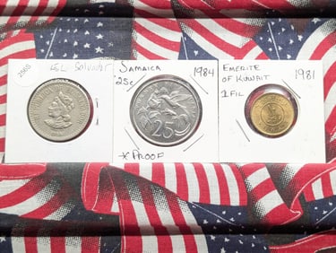 (3) Foreign Coins 