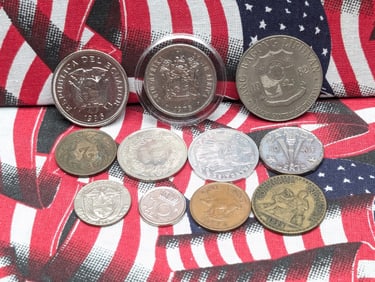 (11) Foreign Coins 
