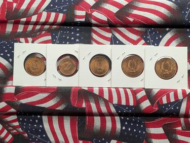 (5) Foreign Coins 