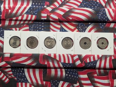 (6) Foreign Coins 
