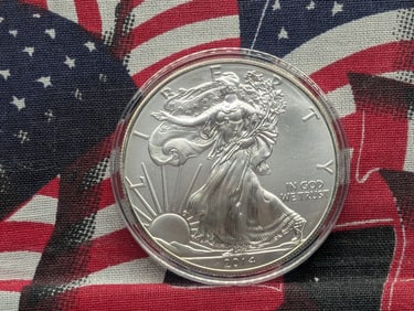 2014 Type 1 Silver Eagle BU