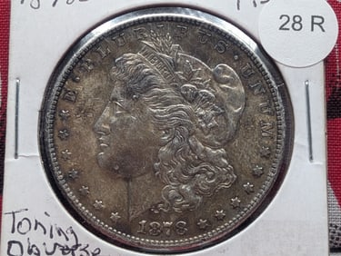 1878-S Morgan Silver Dollar Toning Obverse & Reverse