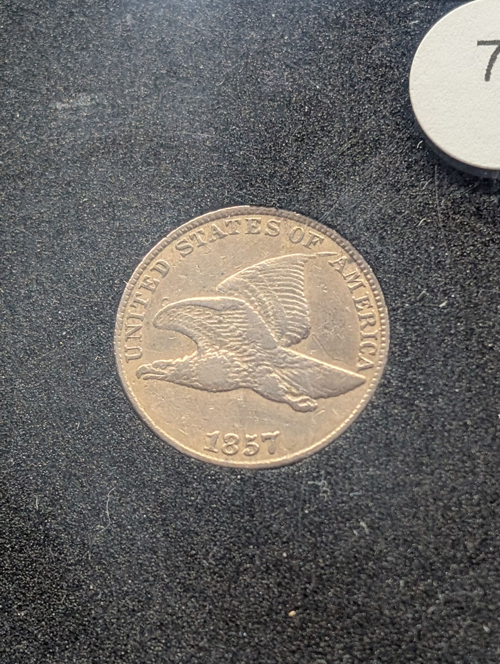 1857 Flying Eagle, AU Like Details (1 of 4)