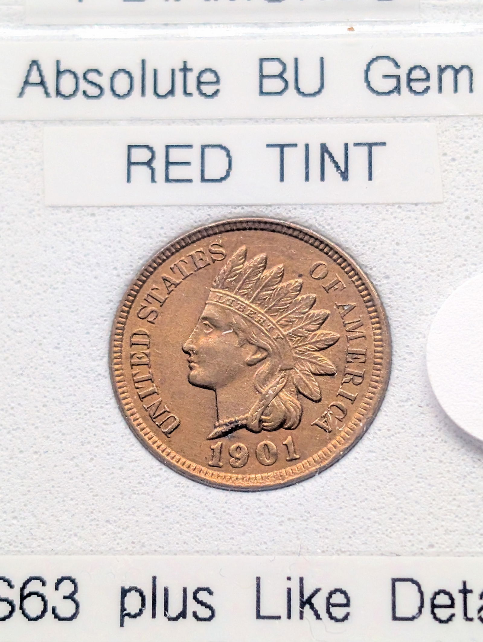 1901  Indian Head Cent , Full Liberty, 4 Diamonds, ABSOLUTE GEM, RED TINT (1 of 4)