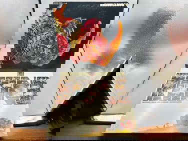 Rhinoceros (2 LP Lot): Self-titled (1970), gatefold, repress; and Better Times Are Coming (1970),