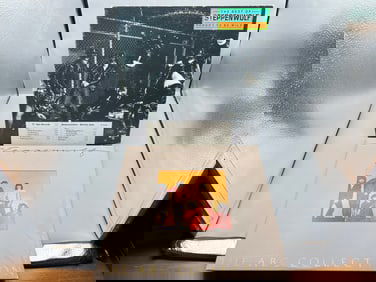 Steppenwolf (2 LP Lot): Reborn To Be Wild (1976), white label promo, promo strip/stamp on cover; and