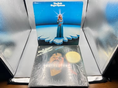 Bob Seger (2 LP Lot): The Bob Seger System - Ramblin' Gamblin' Man (1980), reissue; and Bob Seger &