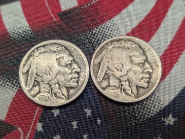1913-D Type 1 & 1914-S Indian Head Buffalo Nickels (2 PCS)