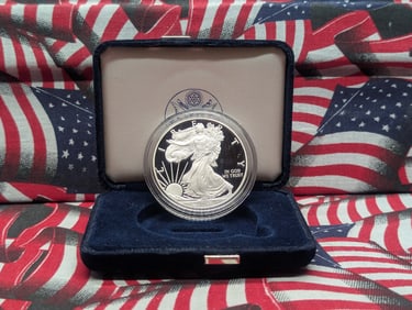 2008-W American Silver Eagle In Velvet Case, NO BOX, NO COA, .999 Fine Silver One Troy Ounce.