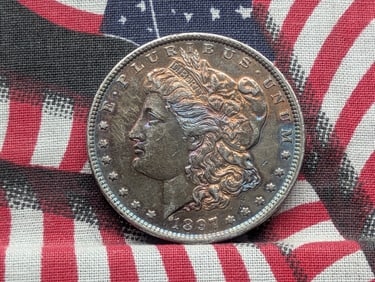1897 Morgan Silver Dollar w/ Wild Toning