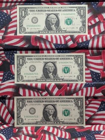 (3) 2021 Consecutive Number One Dollar FRN's