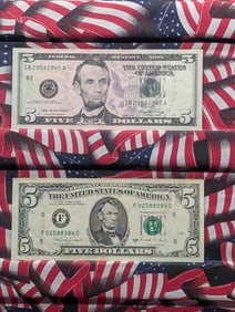1988-A w/Lower S.N. & 2006 Five Dollar FRN