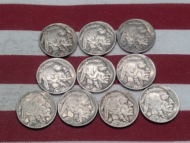10 Mixed Date/ Mixed MM Buffalo Nickels