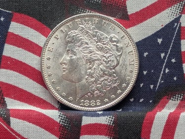 1882 Morgan Silver Dollar