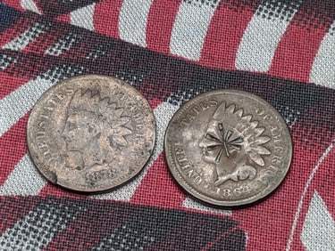 1864 & 1878 Indian Head Cents (2 PCS)