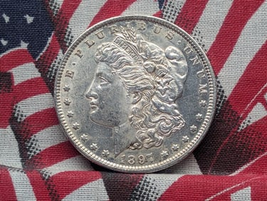 1897 Morgan Silver Dollar