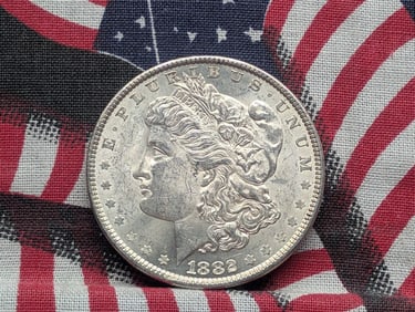 1882 Morgan Silver Dollar