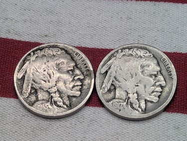 1913-D Type 1 & 1917-S Indian Head Buffalo Nickels *Both VG+* (2 PCS)