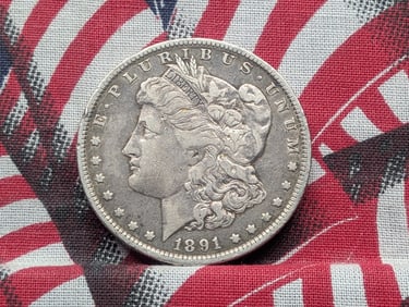 1891-O Morgan Silver Dollar w/ Clashed E Vam-1A