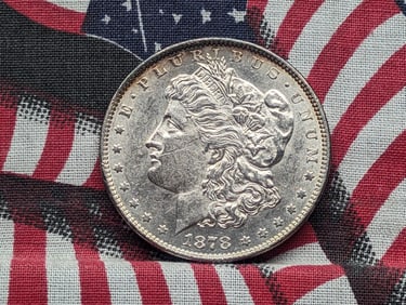 1878 Morgan Silver Dollar Rev 79