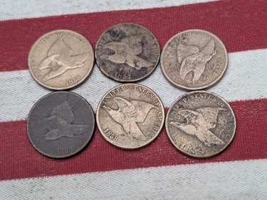 6 - Low Grade Flying Eagle Cents.