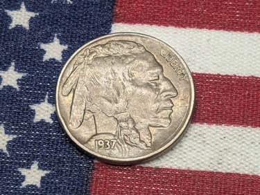 1937 Buffalo Nickel
