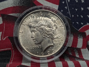 1923 Peace Dollar In Capsule MS