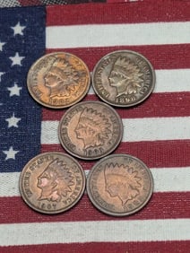 5 Assorted Indian Head Cents, Some Better Grades. No Duplicates