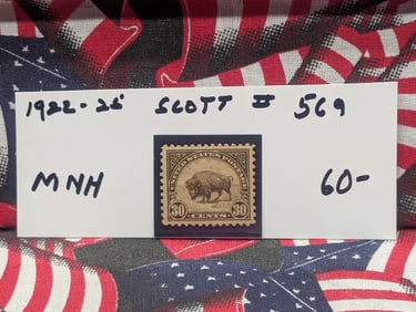 1922-25 Buffalo 30 Cent Stamp, Scott # 569, Mint, Never Hinged
