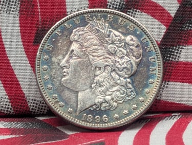 1896 Morgan Silver Dollar w/ Cool Toning
