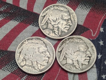 1913, 1916-S & 1923-S Indian Head Buffalo Nickels (3 PCS)