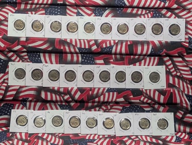 Lot of 28 Various Dated Indian Head Buffalo Nickels