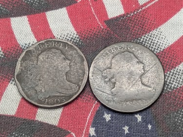 1800 & 1803 Draped Bust Half Cents (2 PCS)