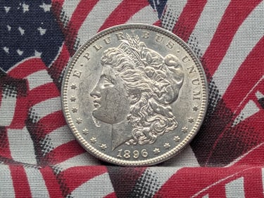 1896 Morgan Silver Dollar