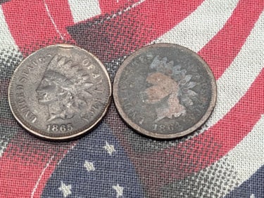 1864 & 1865 Indian Head Cents (2 PCS)