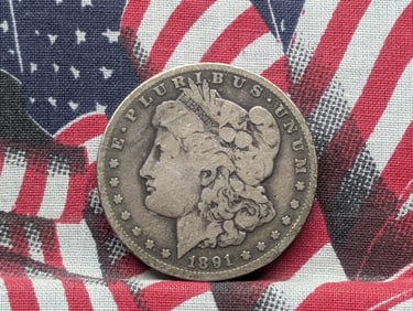 1891-O Morgan Silver Dollar w/ Clashed E Vam1A