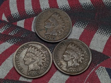 (3) Indian Head Cents 1903, 1905, 1907